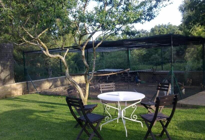 ホテル Sierra Quilama