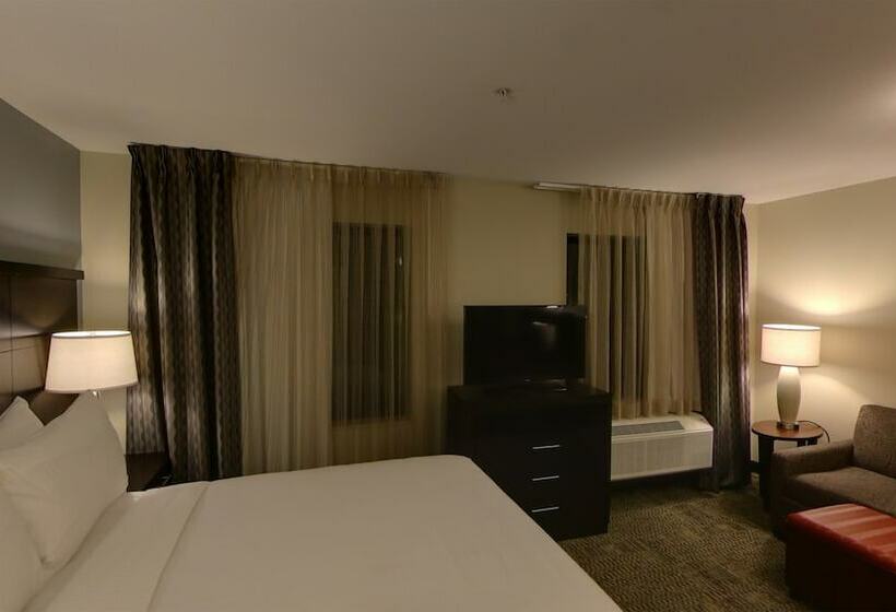 ホテル Staybridge Suites Ann Arbor Research Parkway, An Ihg