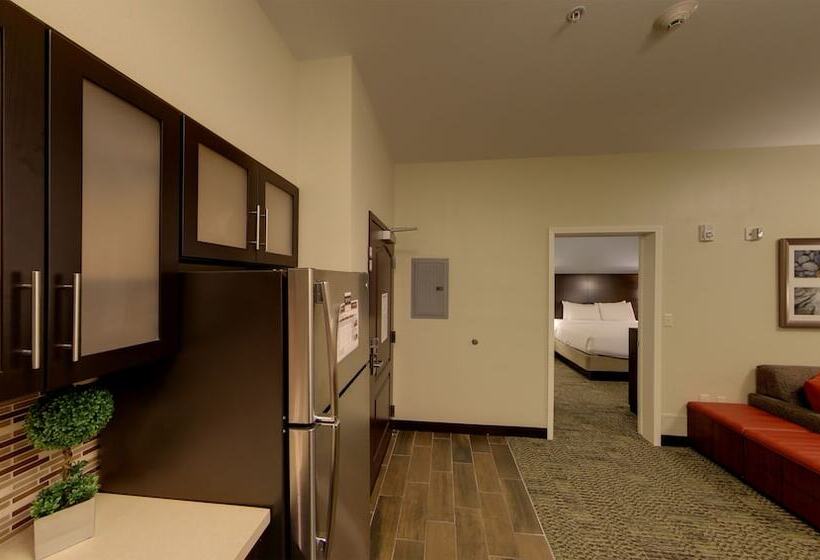 ホテル Staybridge Suites Ann Arbor Research Parkway, An Ihg