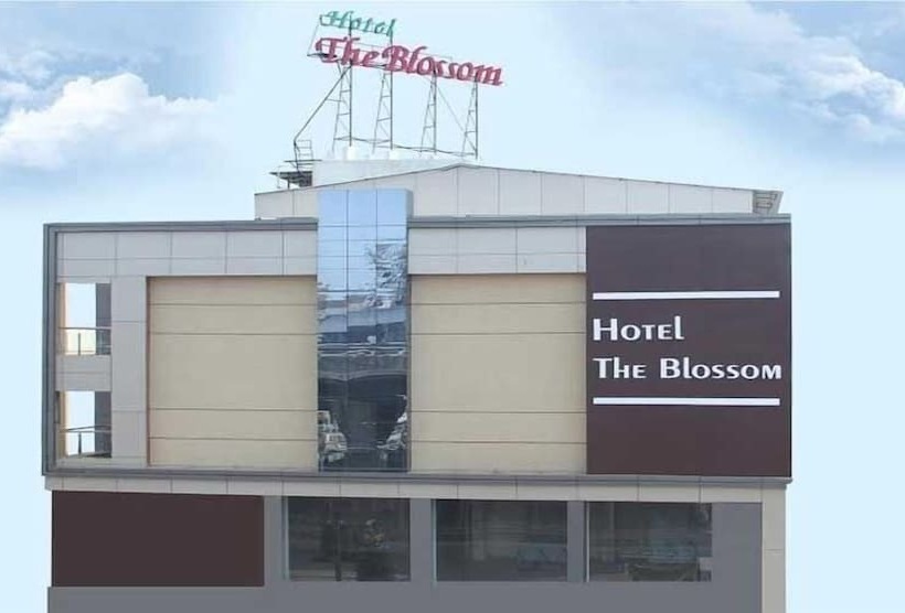 Отель The Blossom
