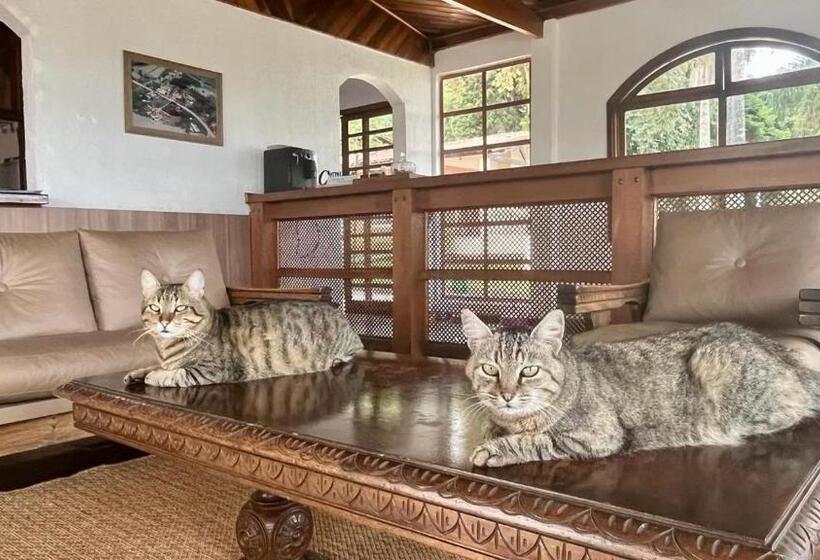 فندق Varandas Do Sol