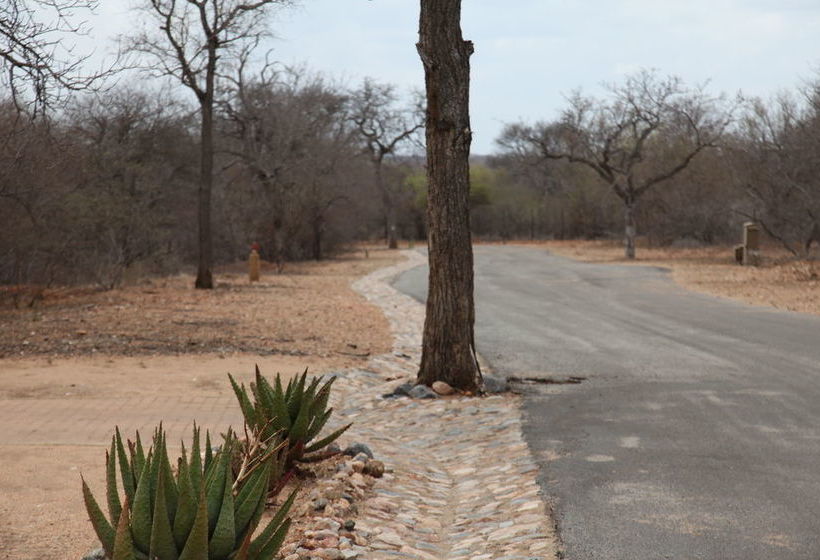 Пансион Lili Bush Guesthouse