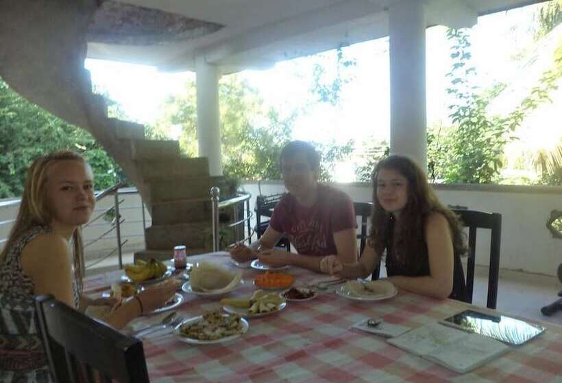 Pension Pleasure Island