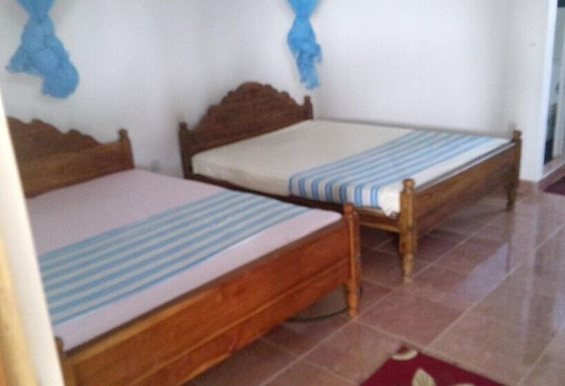 Pension Pleasure Island