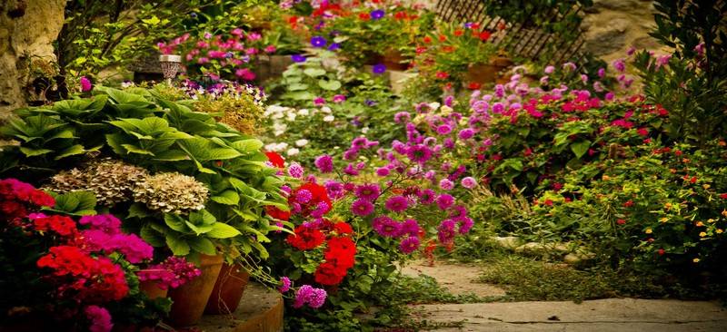 Пансион Posada Real Del Buen Camino