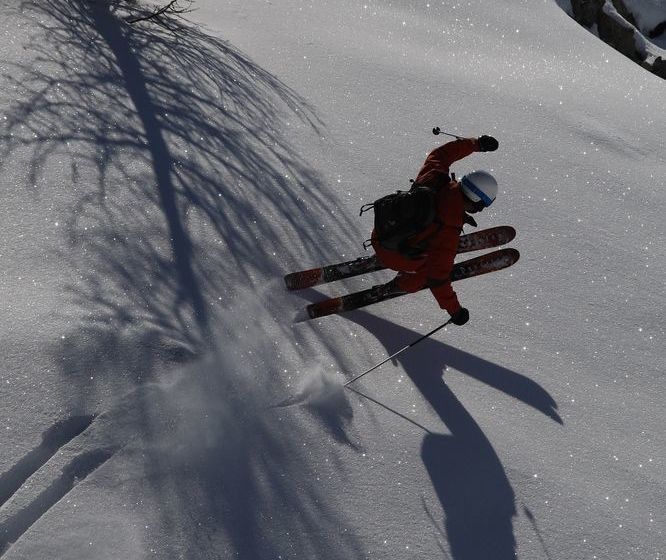 Appartement Les Mélèzes