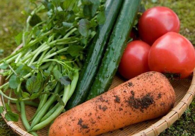 ريوكان Kawachiya