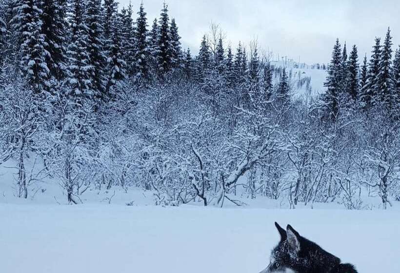Vestvatn   Arctic Cabins