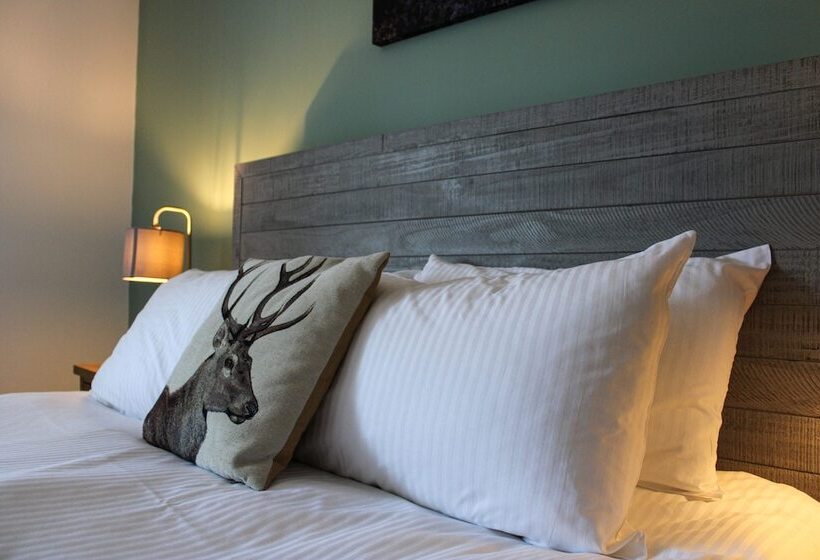 مبيت وإفطار The White Lion