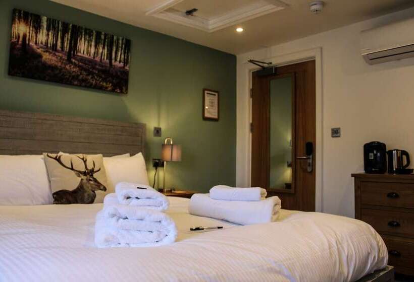 مبيت وإفطار The White Lion