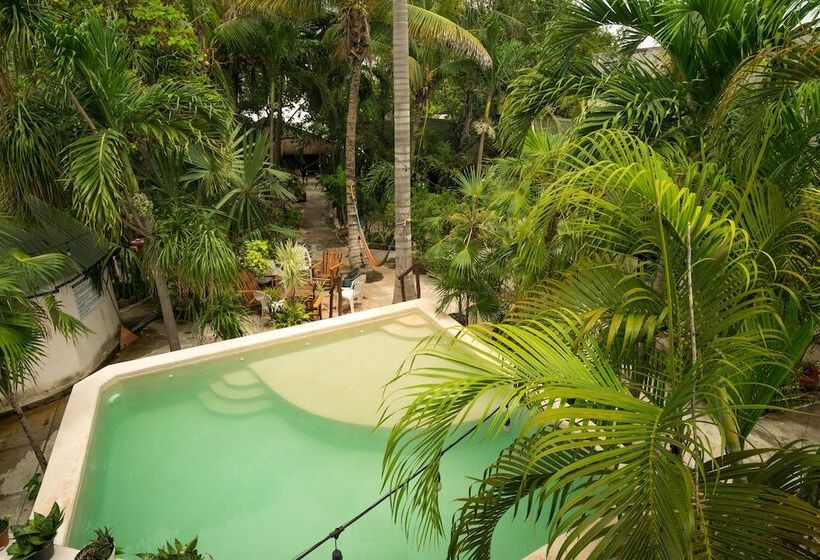 Hostel Oryx Tulum
