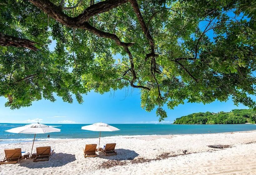 בית מלון כפרי Colibri Beach Villas