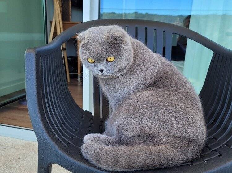 فندق Cotto Do Gatto