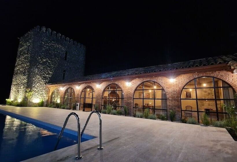 هتل Giorgi Ushikishvili Chateau Celler
