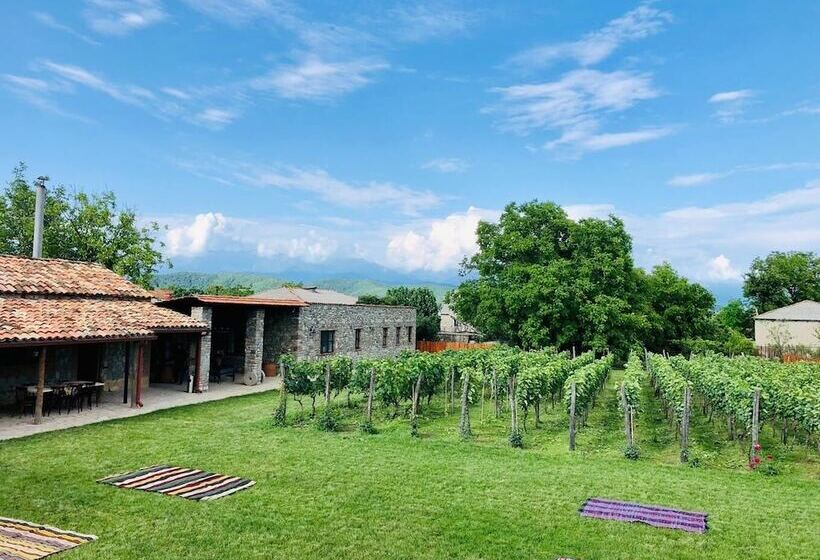 هتل Giorgi Ushikishvili Chateau Celler