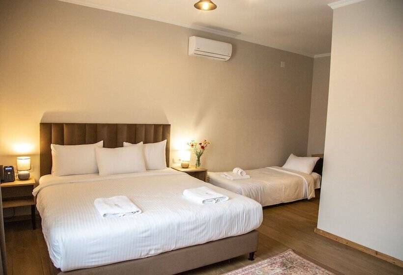 هتل Giorgi Ushikishvili Chateau Celler