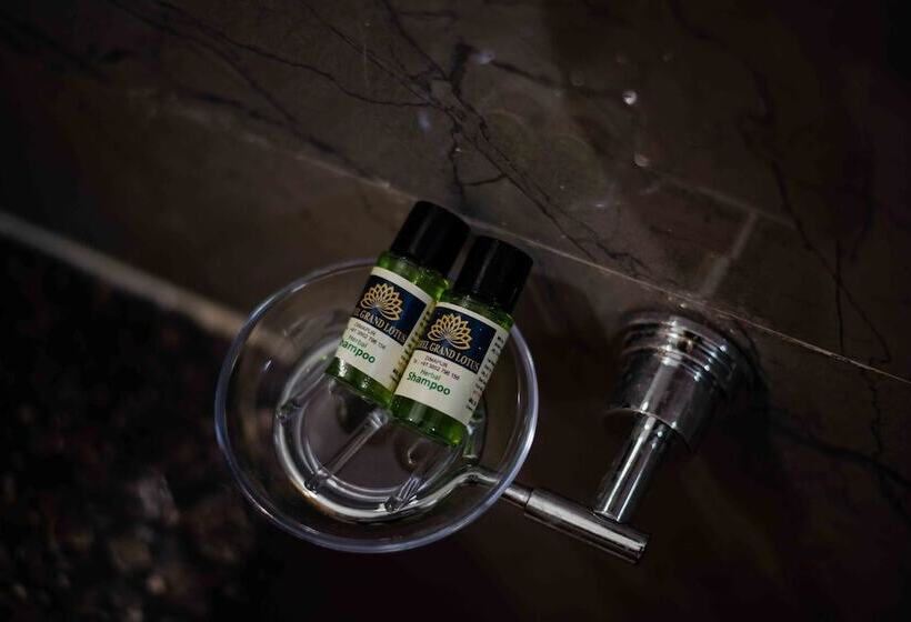 酒店 Grand Lotus Dimapur