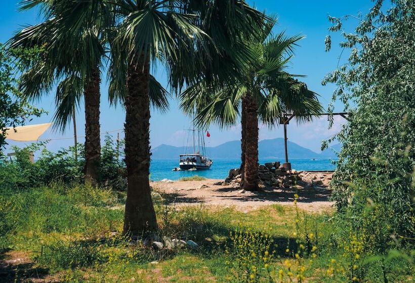 בית מלון כפרי Kelebekler Vadisi Butterfly Valley