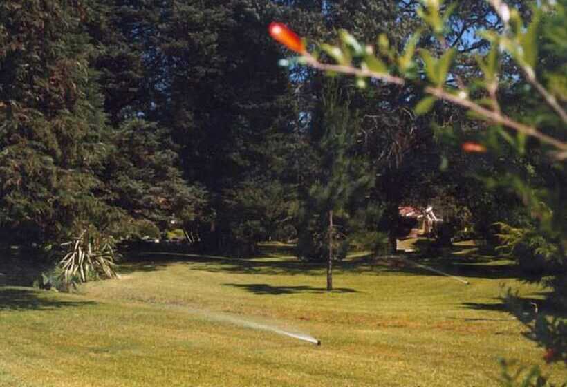 Отель La Casona Del Camino Real