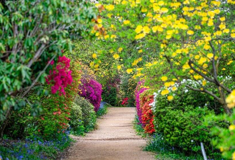 Отель Leonardslee House