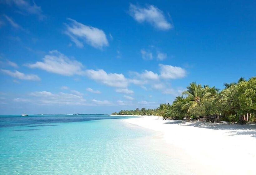 هتل Myrtle Boutique