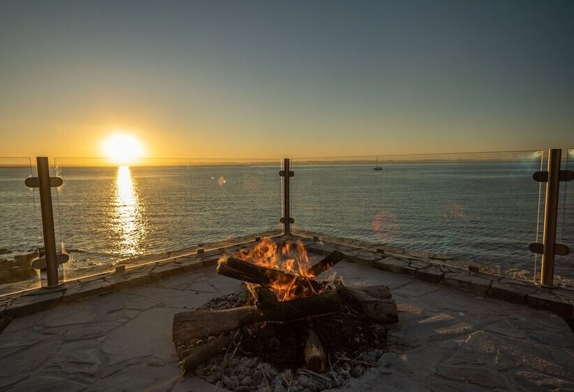 فندق Orchid House Baja & Beach Club