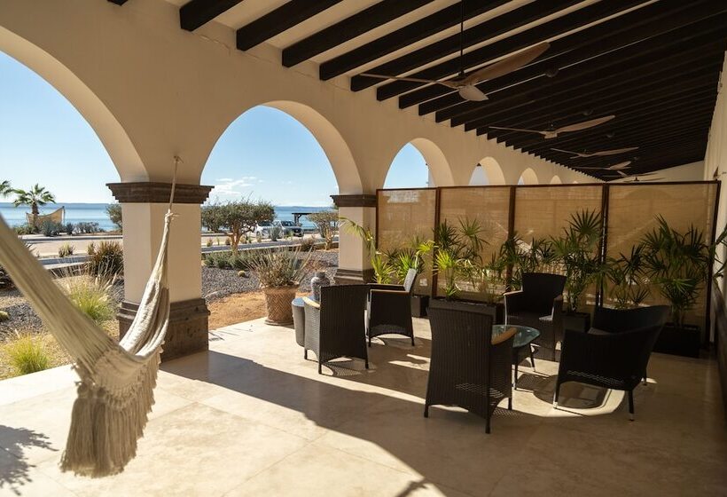 فندق Orchid House Baja & Beach Club