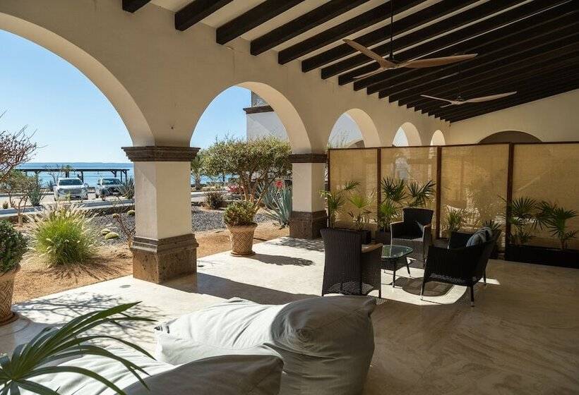 فندق Orchid House Baja & Beach Club