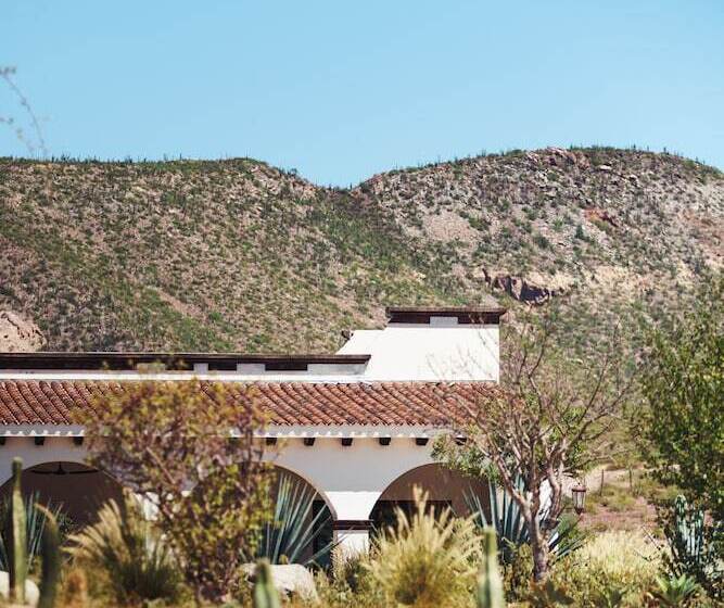 فندق Orchid House Baja & Beach Club