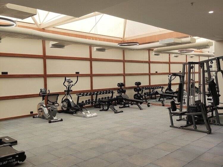 בית מלון כפרי Sayaji Morbi