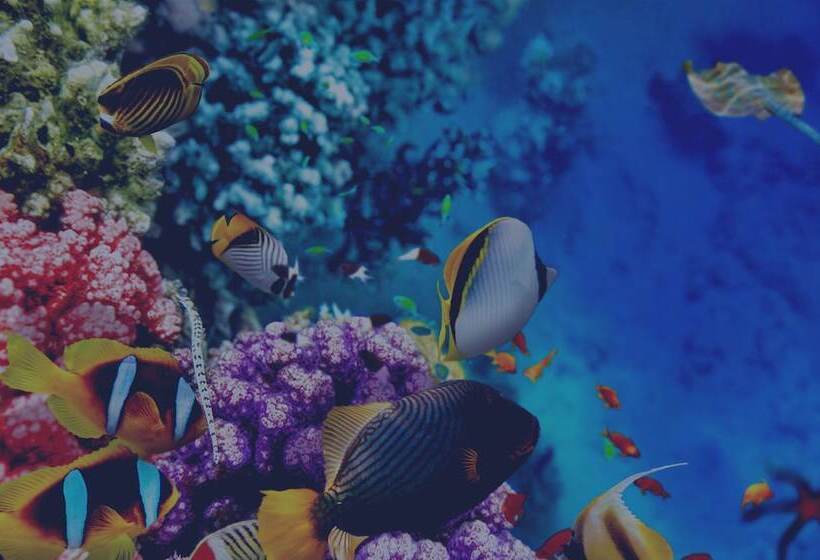 فندق The High Dive Gili Gede