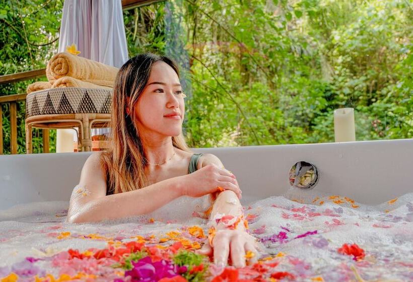 בית מלון כפרי The Sebali Resort