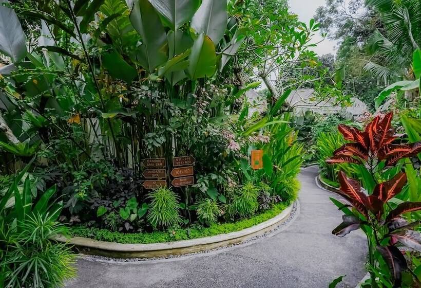 בית מלון כפרי The Sebali Resort