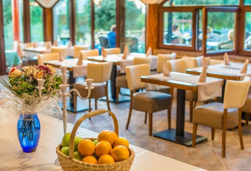 בית מלון כפרי Vrsar Villa