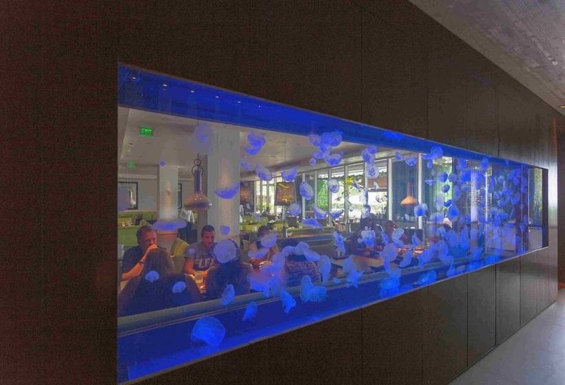 Pelicanstay In W Hotel Ft. Lauderdale