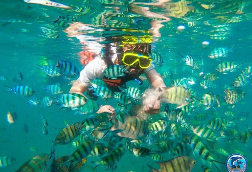 Pansiyon Baan Bua Talay