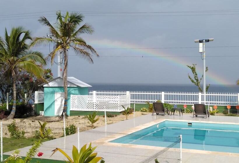 ベッドアンドブレックファースト Blue Lizard House