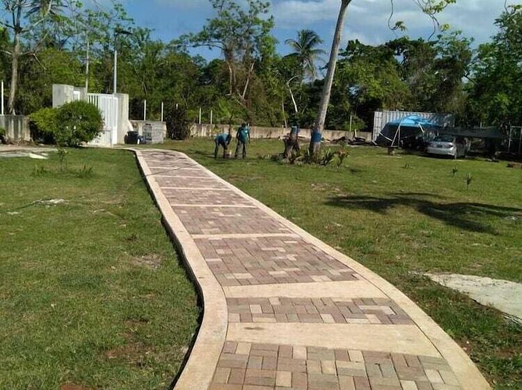 ベッドアンドブレックファースト Blue Lizard House