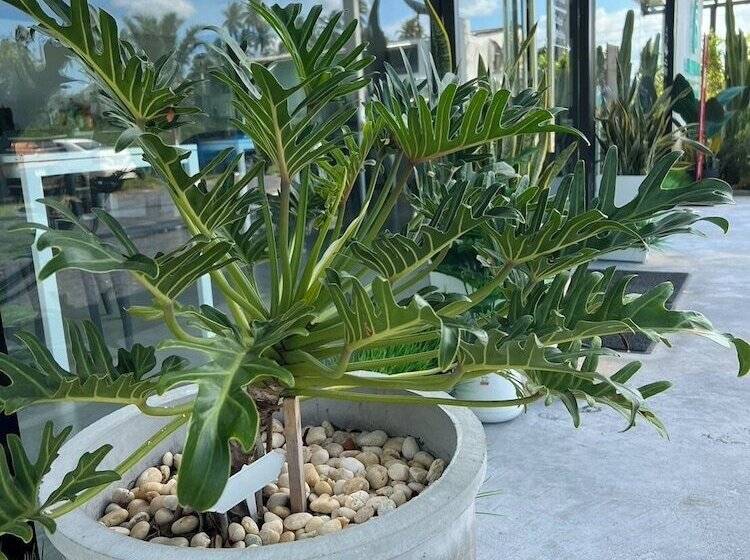 호텔 Blue Moon Boutique Resort