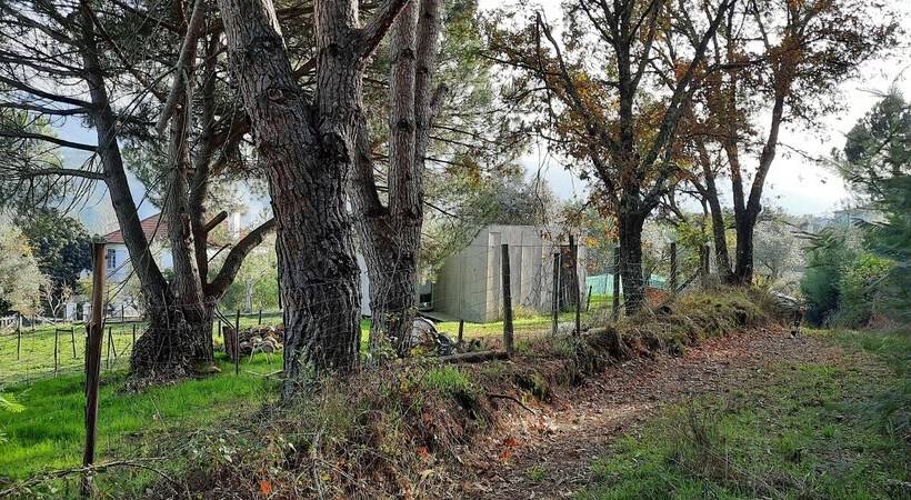 Adore Portugal Bungalow Natureza & Vista De Serra