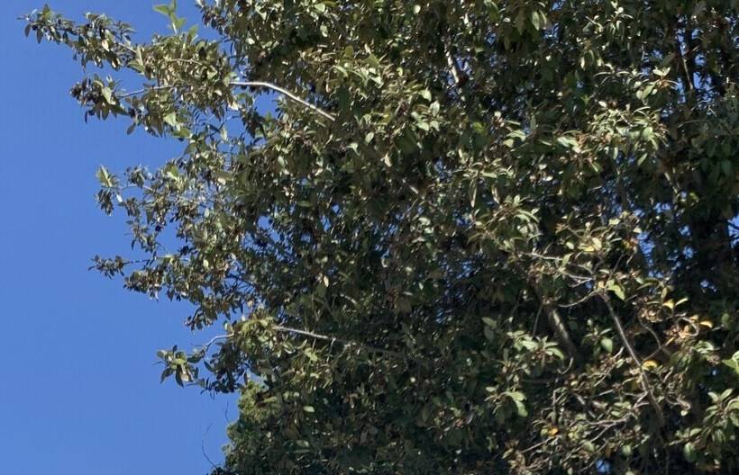 Общежитие Impact Beach House