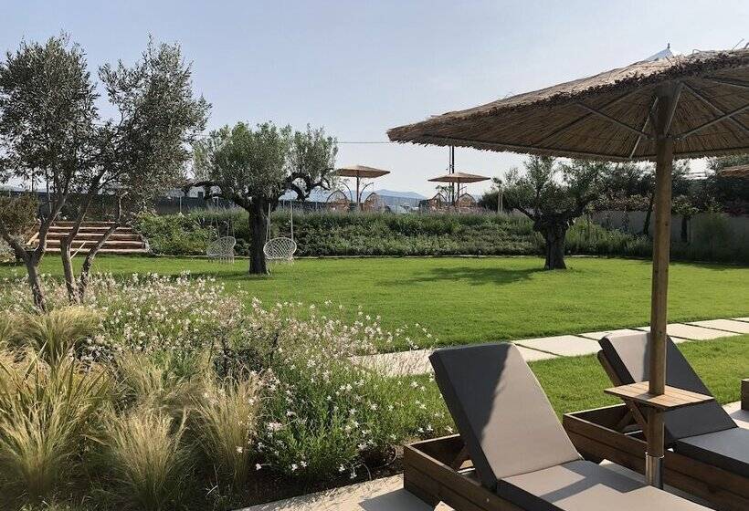 Anassa Resort Halkidiki   Adults Only