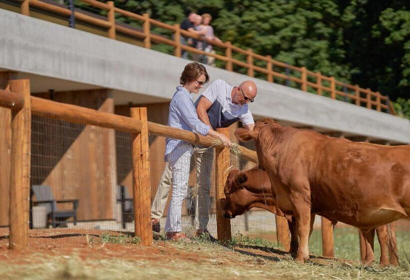 مبيت وإفطار Inn The Ground