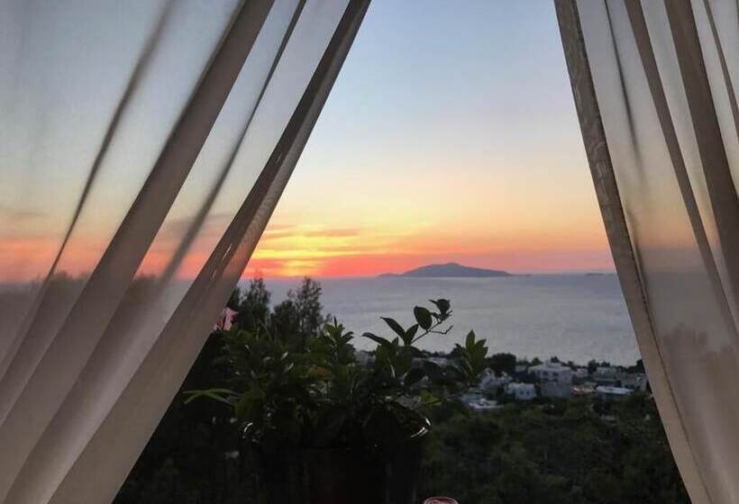 住宿加早餐  Monte Solaro