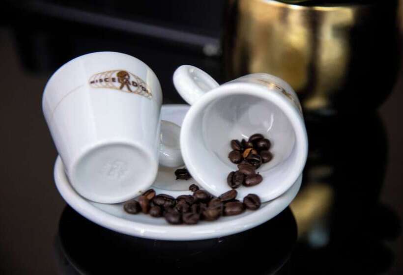 مبيت وإفطار Operaprimasuite