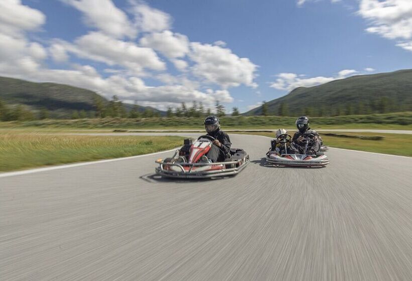 Bed and Breakfast Reinheimen Lodge