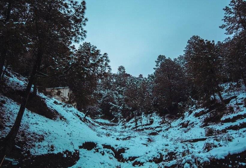 مبيت وإفطار The Himalayan Living Whistling Pines