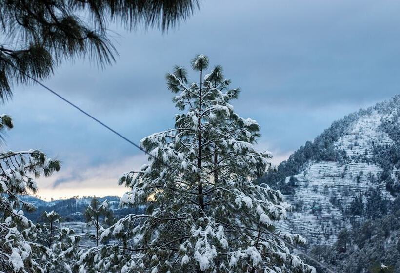 مبيت وإفطار The Himalayan Living Whistling Pines