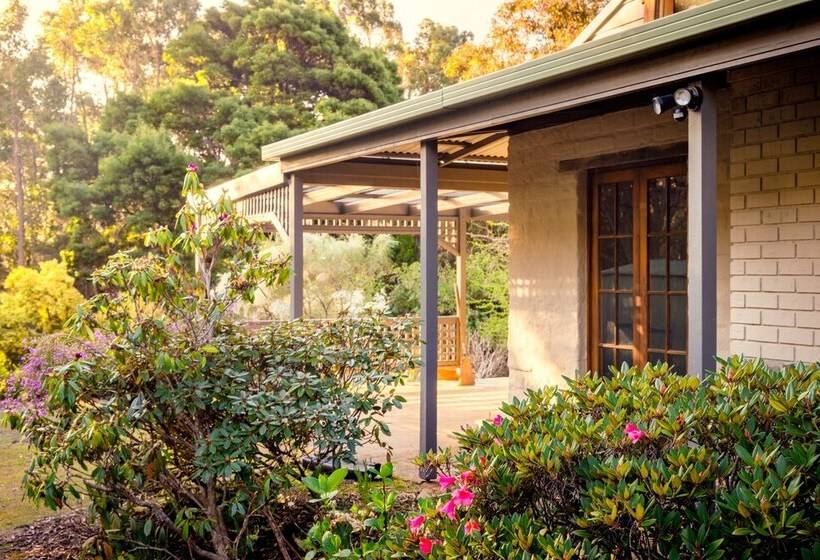 Cloudy Creek Cottage