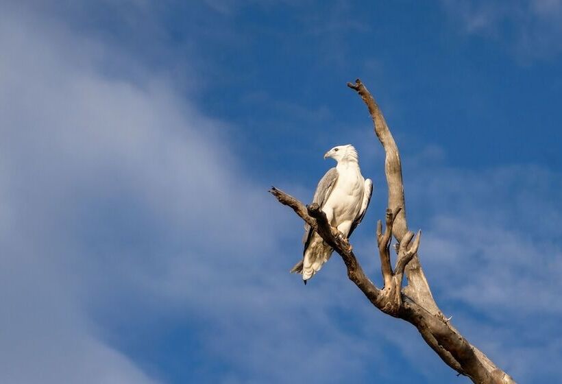Cloudy Creek Cottage